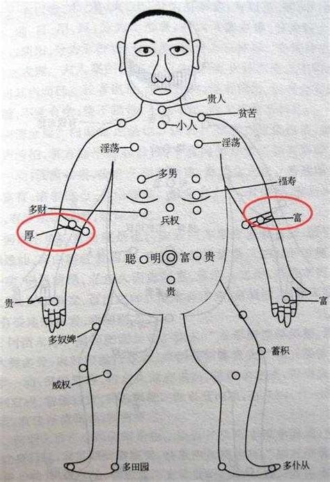 手臂上的痣|痣的位置透露出這些訊息！上手臂有痣不乏追求者、手。